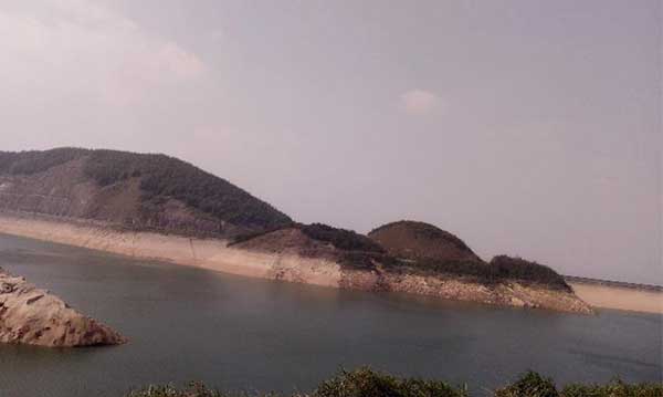 黑麋峰峰頂 綠樹蔥蔥，空氣都是甜的